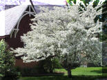 St. Luke's Episcopal Church